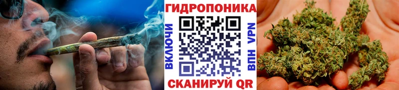 Конопля планчик  Купить  Ставрополь 